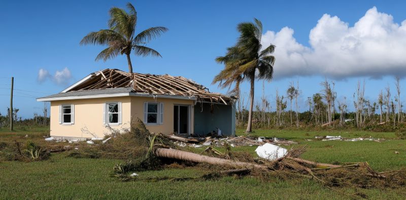 Storm Damage Cleanup detail