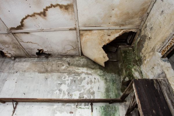 Water Damage Service in Goodyear