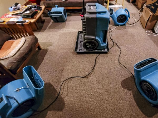 Flood Damage Recovery in Goodyear
