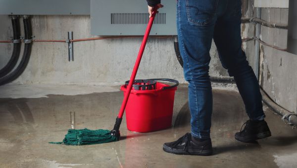 Flooded Basement Cleanup in Goodyear