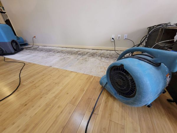 Water Damage Mitigation in Goodyear