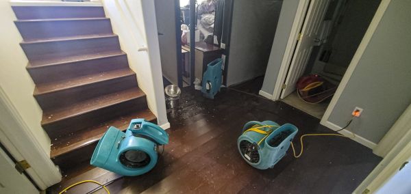 Water Damage Remediation in Goodyear