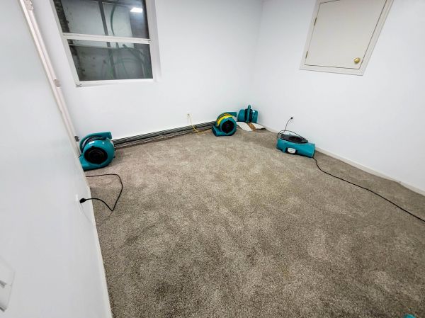 Flood Restoration Service in Goodyear