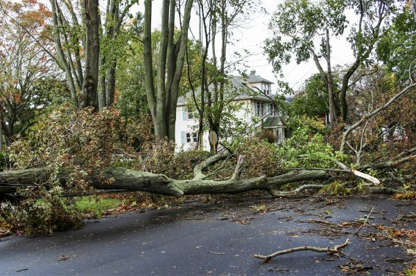 Tornado Damage Repair in Goodyear