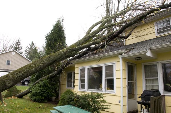 Storm Damage Mitigation in Goodyear