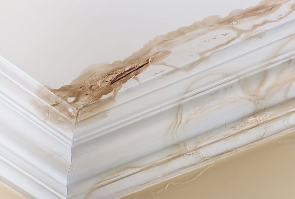 Water Damage Recovery in Goodyear